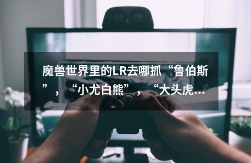 魔兽世界里的LR去哪抓“鲁伯斯”，“小尤白熊”，“大头虎”-第1张-游戏信息-龙启网