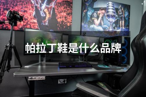 帕拉丁鞋是什么品牌-第1张-游戏信息-龙启网