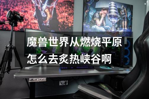 魔兽世界从燃烧平原怎么去炙热峡谷啊-第1张-游戏信息-龙启网