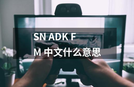 SN ADK FM 中文什么意思-第1张-游戏信息-龙启网