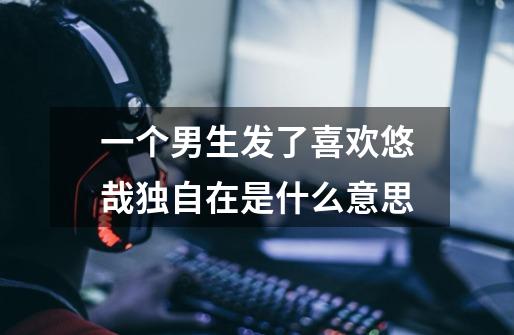一个男生发了喜欢悠哉独自在是什么意思-第1张-游戏信息-龙启网