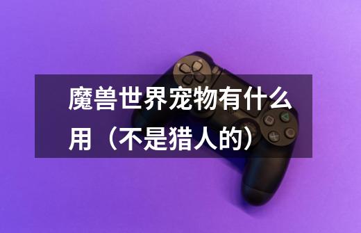 魔兽世界宠物有什么用（不是猎人的）-第1张-游戏信息-龙启网