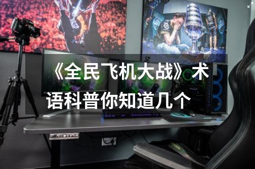 《全民飞机大战》术语科普你知道几个-第1张-游戏信息-龙启网