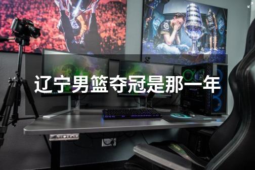 辽宁男篮夺冠是那一年-第1张-游戏信息-龙启网