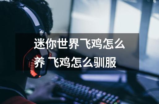 迷你世界飞鸡怎么养 飞鸡怎么驯服-第1张-游戏信息-龙启网