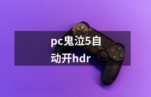 pc鬼泣5自动开hdr-第1张-游戏信息-龙启网