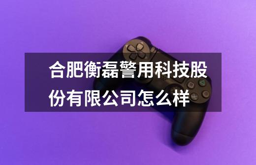 合肥衡磊警用科技股份有限公司怎么样-第1张-游戏信息-龙启网