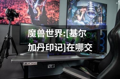 魔兽世界:[基尔加丹印记]在哪交-第1张-游戏信息-龙启网