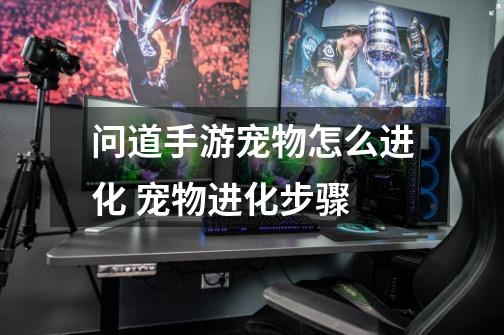 问道手游宠物怎么进化 宠物进化步骤-第1张-游戏信息-龙启网