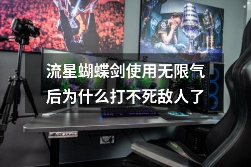 流星蝴蝶剑使用无限气后为什么打不死敌人了-第1张-游戏信息-龙启网