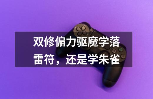 双修偏力驱魔学落雷符，还是学朱雀-第1张-游戏信息-龙启网