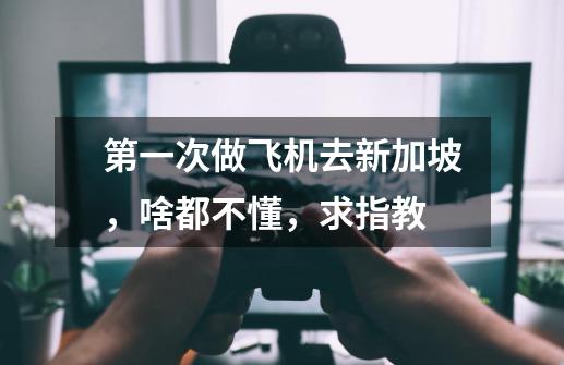 第一次做飞机去新加坡,啥都不懂,求指教-第1张-游戏信息-龙启网