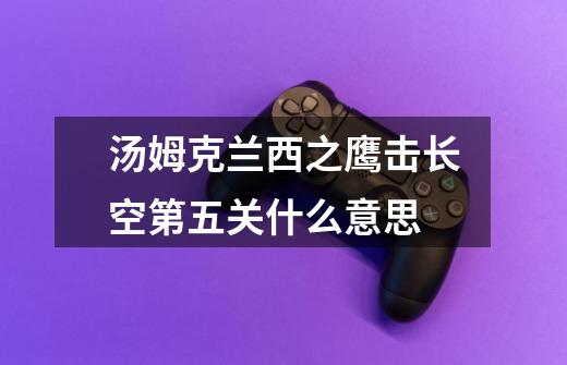 汤姆克兰西之鹰击长空第五关什么意思-第1张-游戏信息-龙启网
