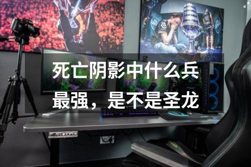 死亡阴影中什么兵最强，是不是圣龙-第1张-游戏信息-龙启网