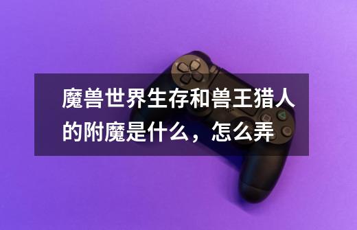 魔兽世界生存和兽王猎人的附魔是什么,怎么弄-第1张-游戏信息-龙启网