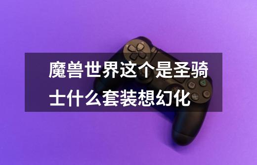 魔兽世界这个是圣骑士什么套装想幻化-第1张-游戏信息-龙启网