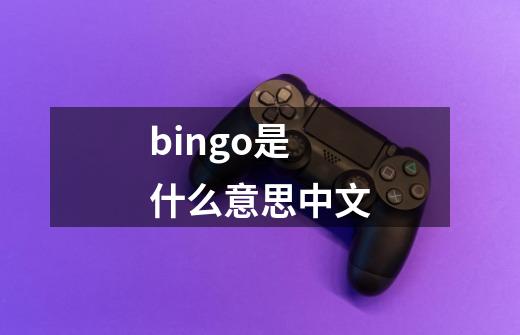 bingo是什么意思中文-第1张-游戏信息-龙启网