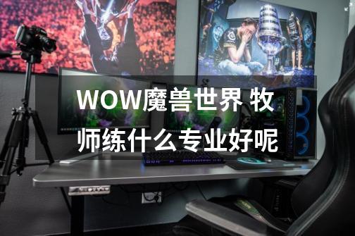 WOW魔兽世界 牧师练什么专业好呢-第1张-游戏信息-龙启网
