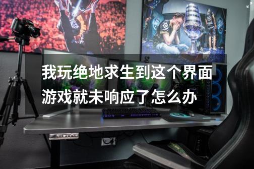 我玩绝地求生到这个界面游戏就未响应了怎么办-第1张-游戏信息-龙启网