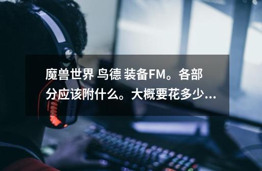 魔兽世界 鸟德 装备FM。各部分应该附什么。大概要花多少钱-第1张-游戏信息-龙启网
