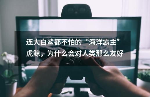 连大白鲨都不怕的“海洋霸主”虎鲸,为什么会对人类那么友好-第1张-游戏信息-龙启网