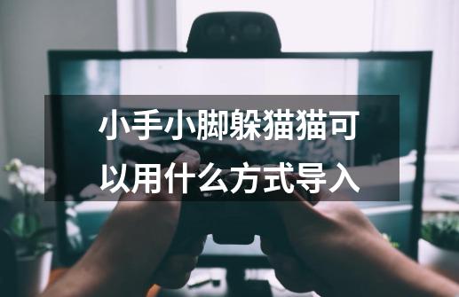 小手小脚躲猫猫可以用什么方式导入-第1张-游戏信息-龙启网