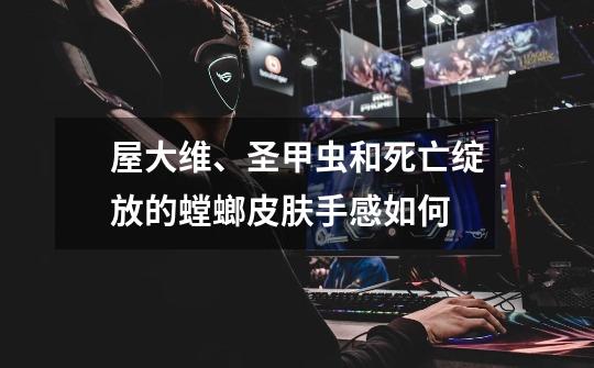 屋大维、圣甲虫和死亡绽放的螳螂皮肤手感如何-第1张-游戏信息-龙启网