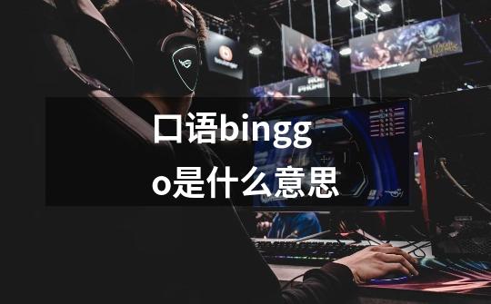 口语binggo是什么意思-第1张-游戏信息-龙启网
