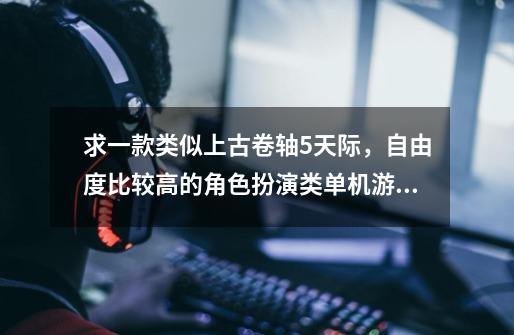 求一款类似上古卷轴5天际，自由度比较高的角色扮演类单机游戏-第1张-游戏信息-龙启网