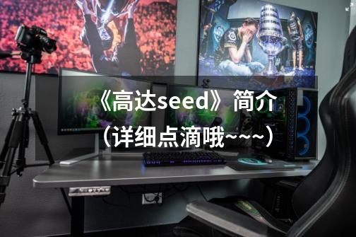 《高达seed》简介(详细点滴哦~~~)-第1张-游戏信息-龙启网