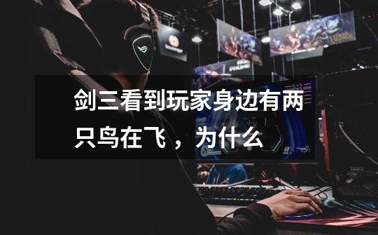 剑三看到玩家身边有两只鸟在飞 ，为什么-第1张-游戏信息-龙启网