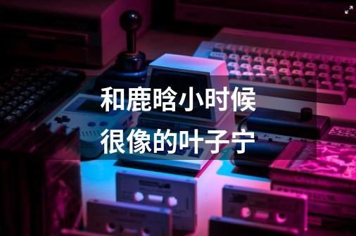 和鹿晗小时候很像的叶子宁-第1张-游戏信息-龙启网