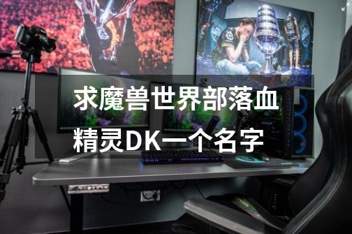 求魔兽世界部落血精灵DK一个名字-第1张-游戏信息-龙启网