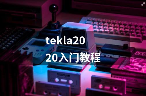 tekla2020入门教程-第1张-游戏信息-龙启网