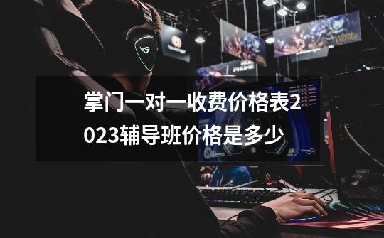 掌门一对一收费价格表2023辅导班价格是多少-第1张-游戏信息-龙启网