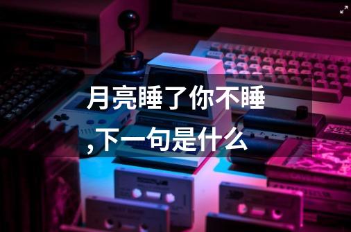 月亮睡了你不睡,下一句是什么-第1张-游戏信息-龙启网