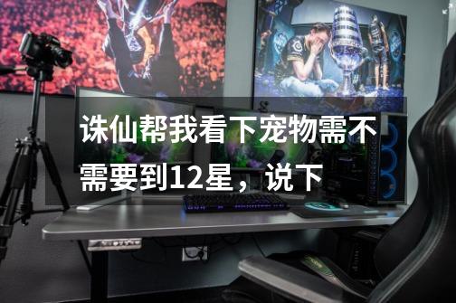 诛仙帮我看下宠物需不需要到12星,说下-第1张-游戏信息-龙启网