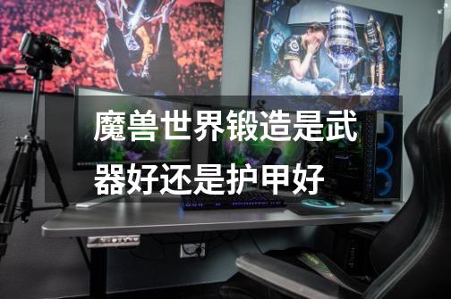 魔兽世界锻造是武器好还是护甲好-第1张-游戏信息-龙启网