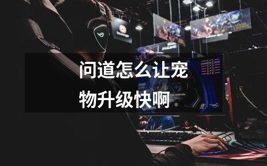 问道怎么让宠物升级快啊-第1张-游戏信息-龙启网