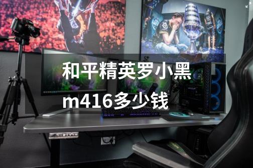 和平精英罗小黑m416多少钱-第1张-游戏信息-龙启网
