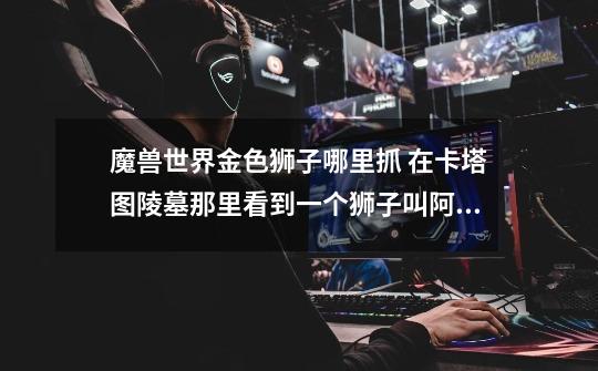 魔兽世界金色狮子哪里抓 在卡塔图陵墓那里看到一个狮子叫阿克特 哪里能抓到这样的狮子-第1张-游戏信息-龙启网