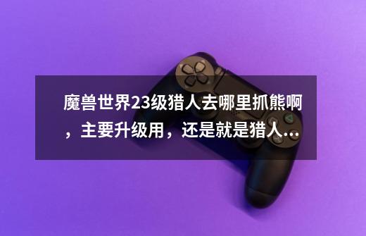 魔兽世界23级猎人去哪里抓熊啊,主要升级用,还是就是猎人也会隐身吗-第1张-游戏信息-龙启网