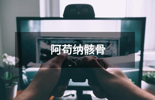 阿苟纳骸骨-第1张-游戏信息-龙启网
