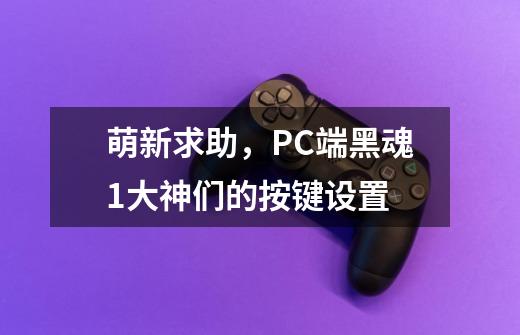 萌新求助，PC端黑魂1大神们的按键设置-第1张-游戏信息-龙启网