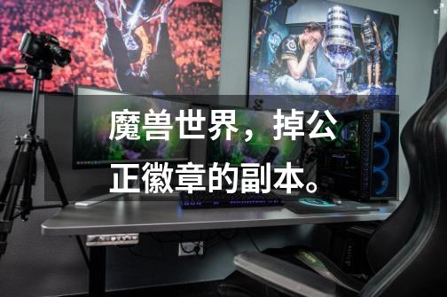 魔兽世界,掉公正徽章的副本。-第1张-游戏信息-龙启网