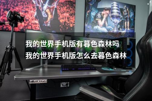 我的世界手机版有暮色森林吗 我的世界手机版怎么去暮色森林-第1张-游戏信息-龙启网