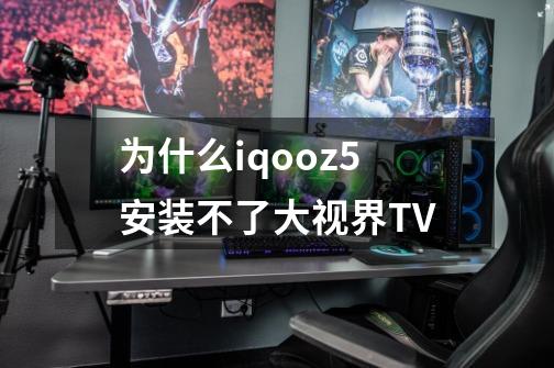 为什么iqooz5安装不了大视界TV-第1张-游戏信息-龙启网