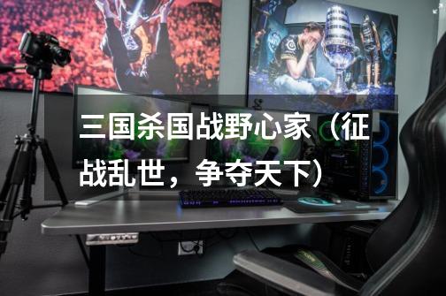 三国杀国战野心家(征战乱世,争夺天下)-第1张-游戏信息-龙启网