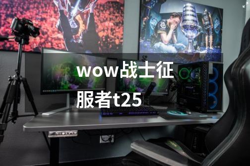 wow战士征服者t2.5-第1张-游戏信息-龙启网