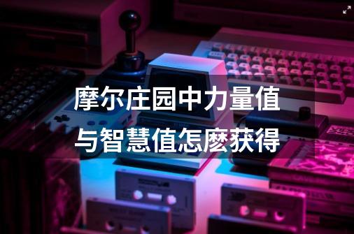 摩尔庄园中力量值与智慧值怎麽获得-第1张-游戏信息-龙启网